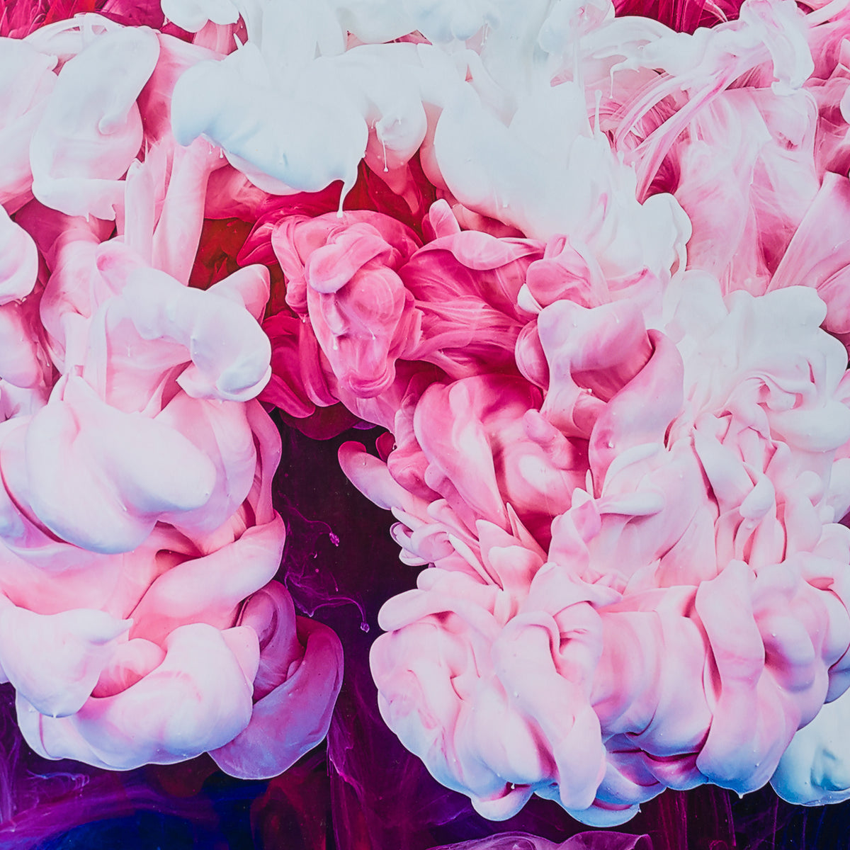 PLU ORI ABS 12111 3 Elevation (SP013076) 