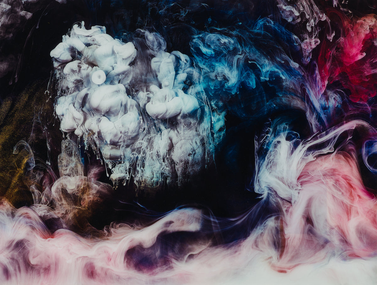 PLU SLE ABS 12148 31 Conclave 