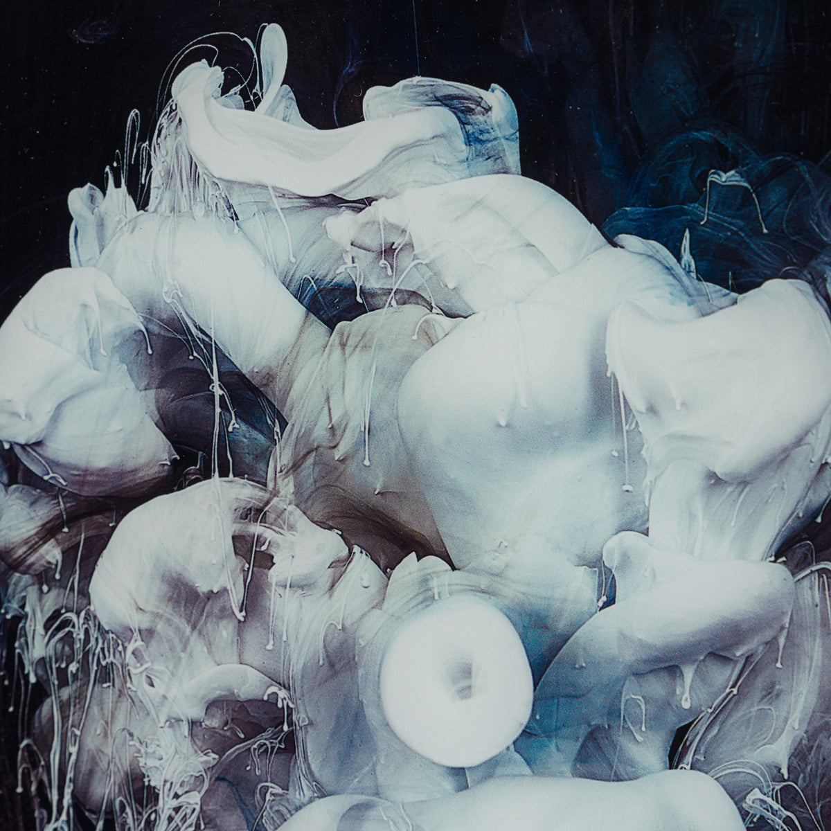 PLU SLE ABS 12148 4 Conclave 