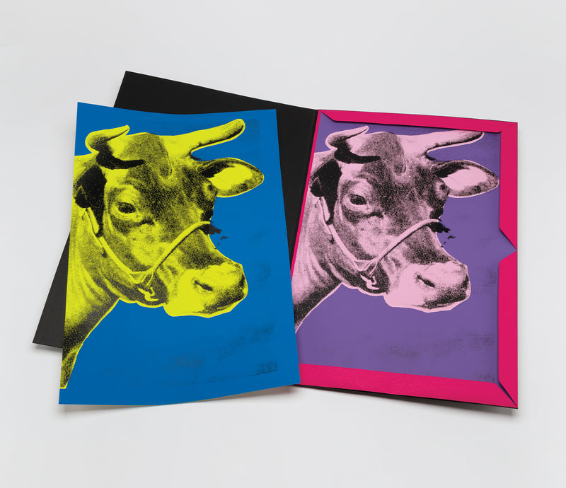 PSE PORTFOLIO PRODUCT IMAGE2 