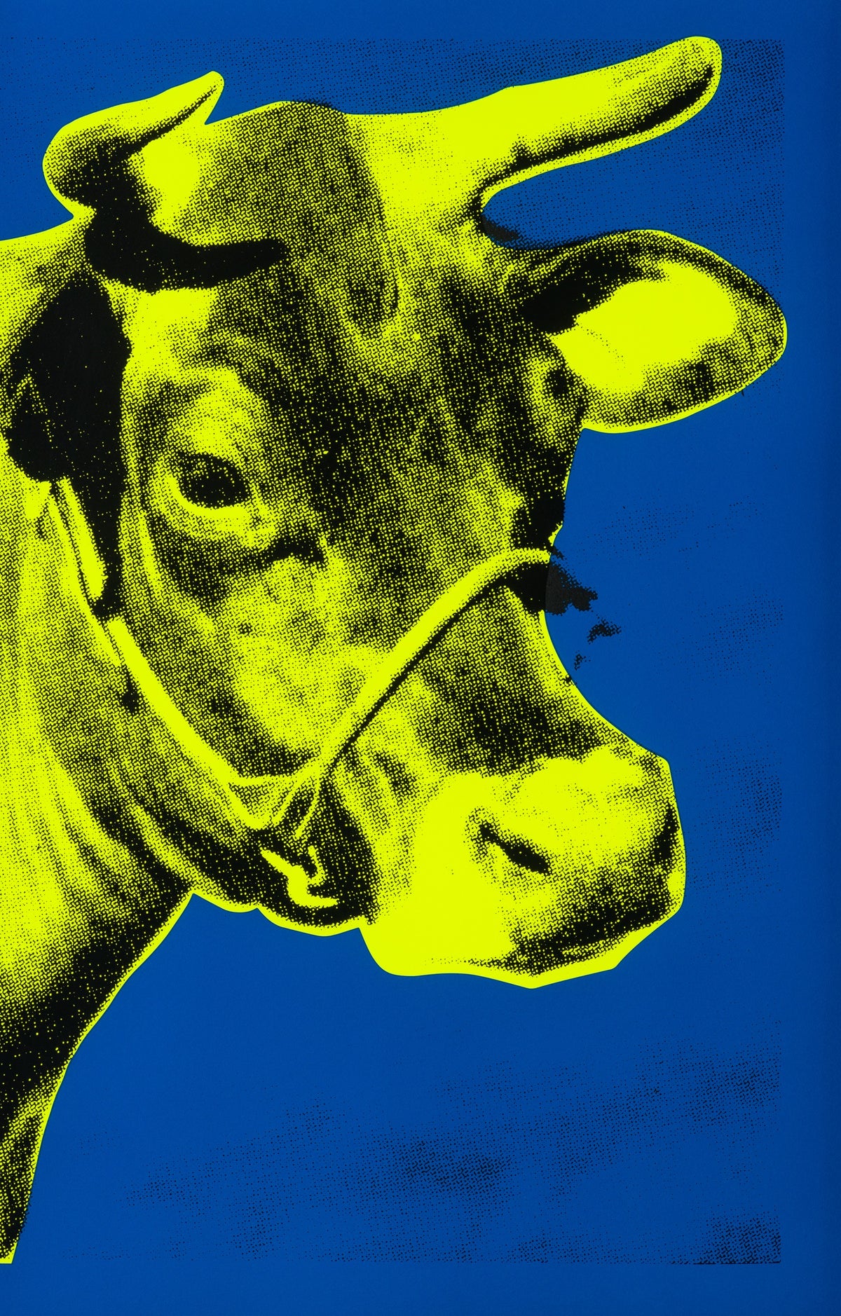 PSE SIL POR 25253 31 Cow I  Yellow On Blue 