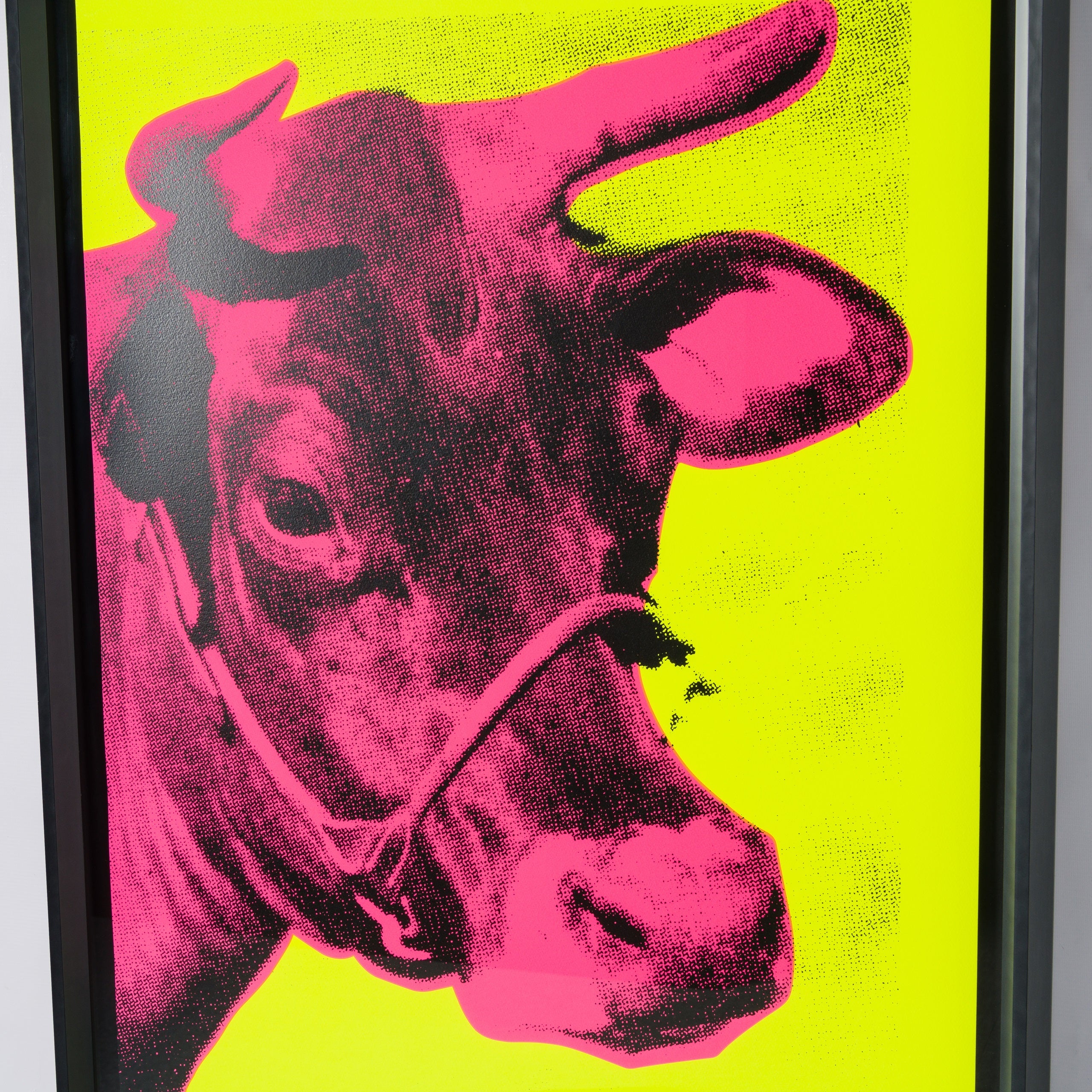 PSE SIL POR 25257 4 Cow IV  Fluorescent Pink On Fluorescent Yellow 