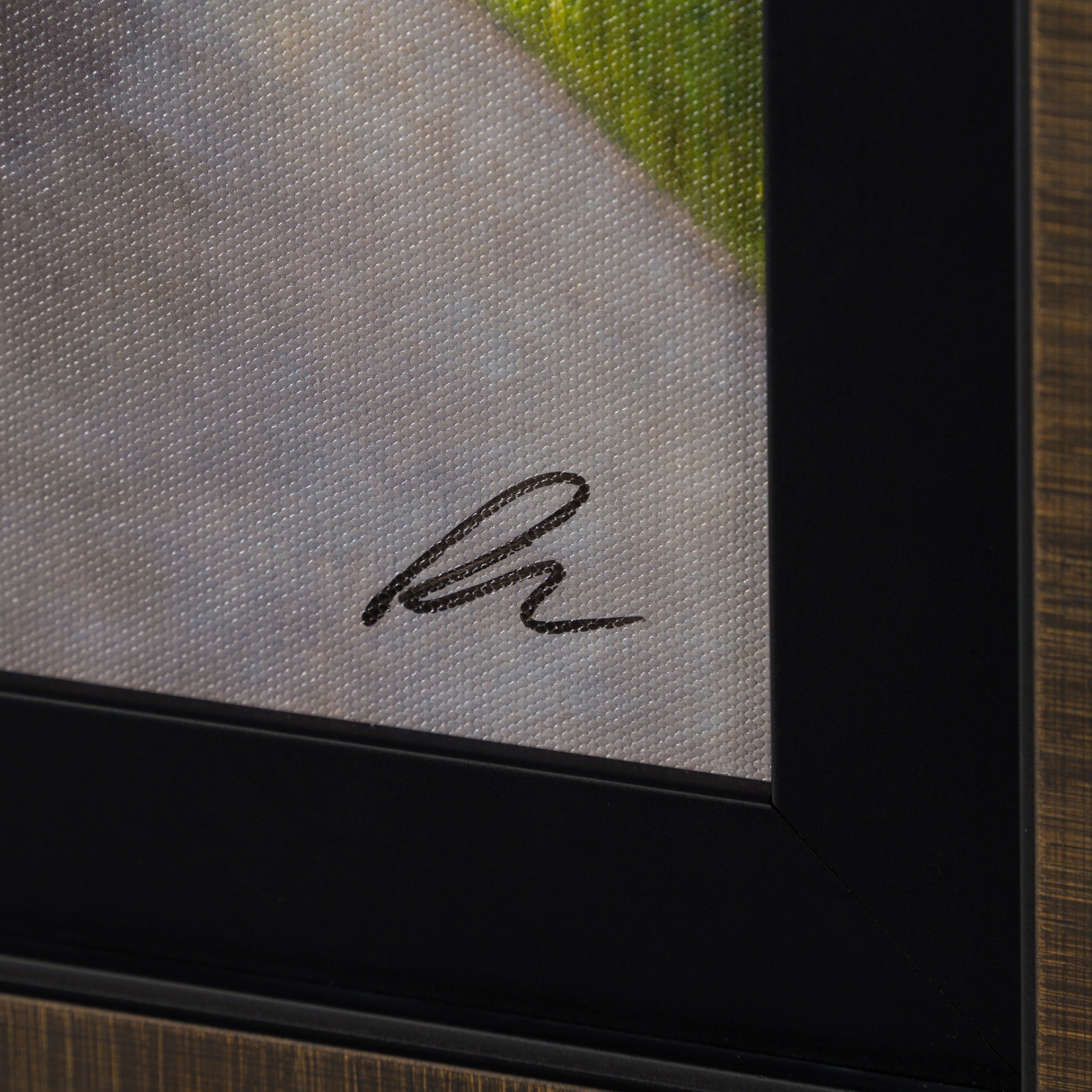 PSM SLE HUM 21536 3 Barking Mad 