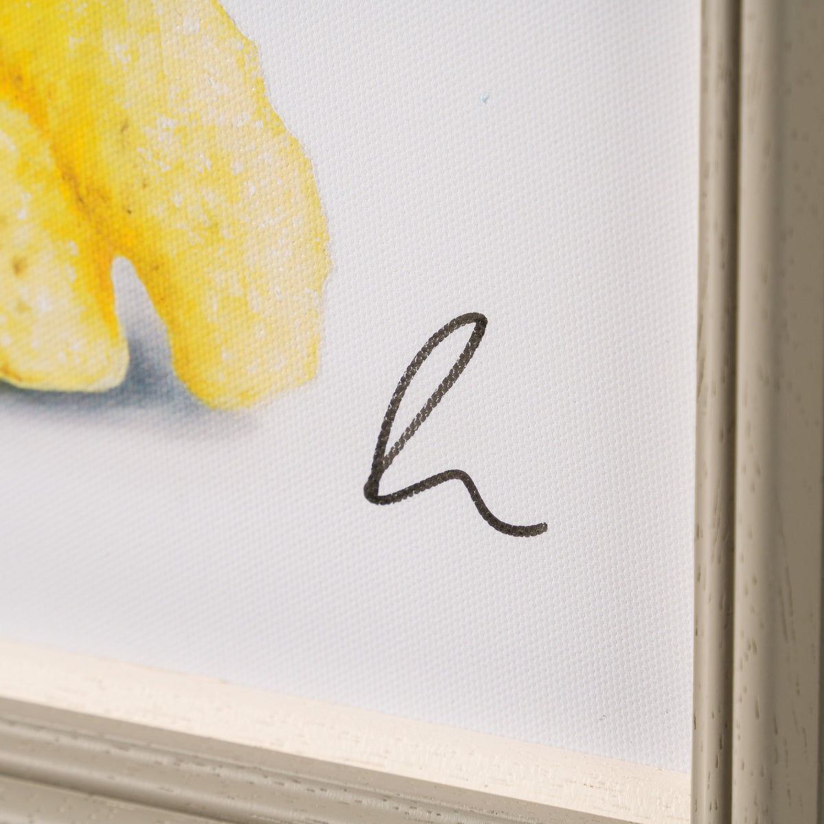 Product image 2 for peter-smith-thats-why-we-cant-have-nice-things