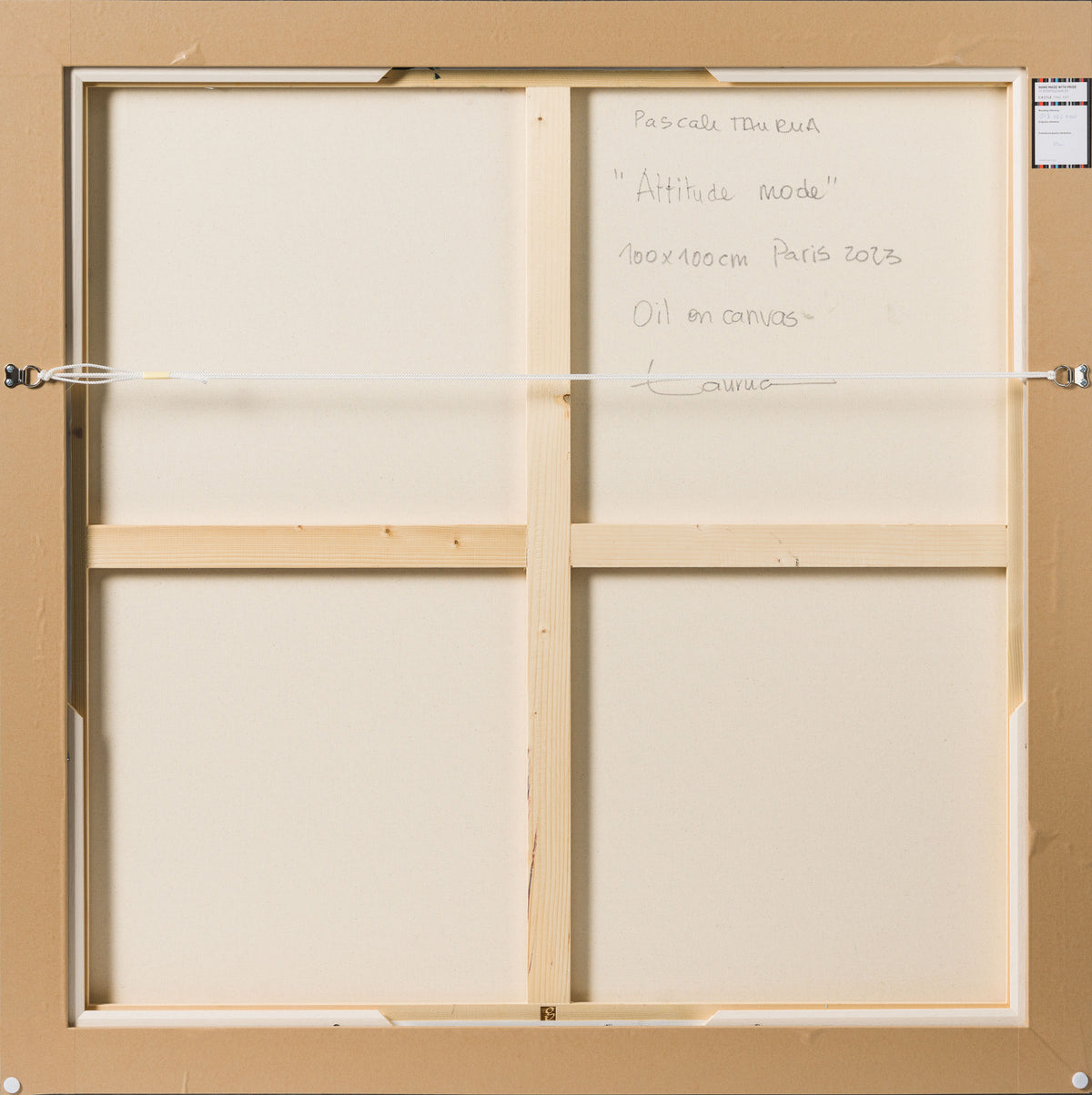 PTA ORI POR 31117 Attitude Mode 7 