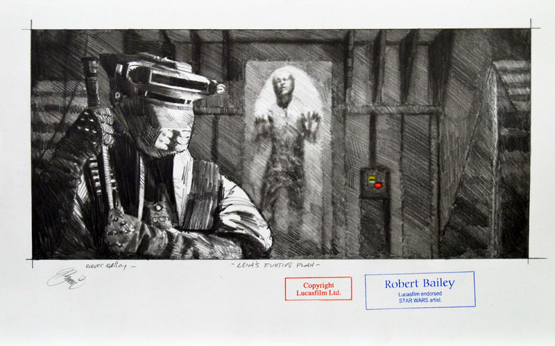 RBA ORI Leia s Furtive Plan (13) 16 x 33 5 cm s (2) 
