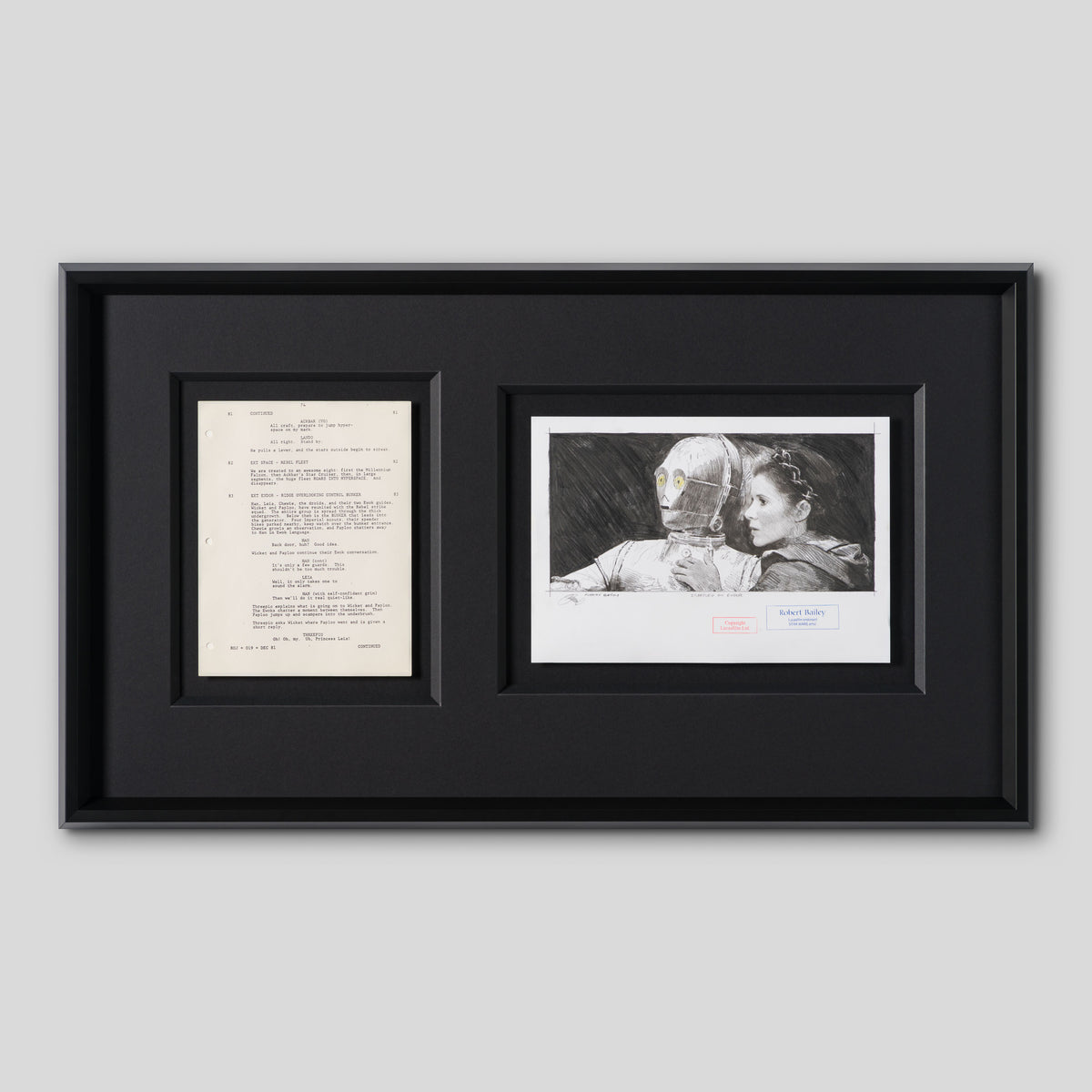 RBA ORI SKT 30778 Startled On Endor 1 