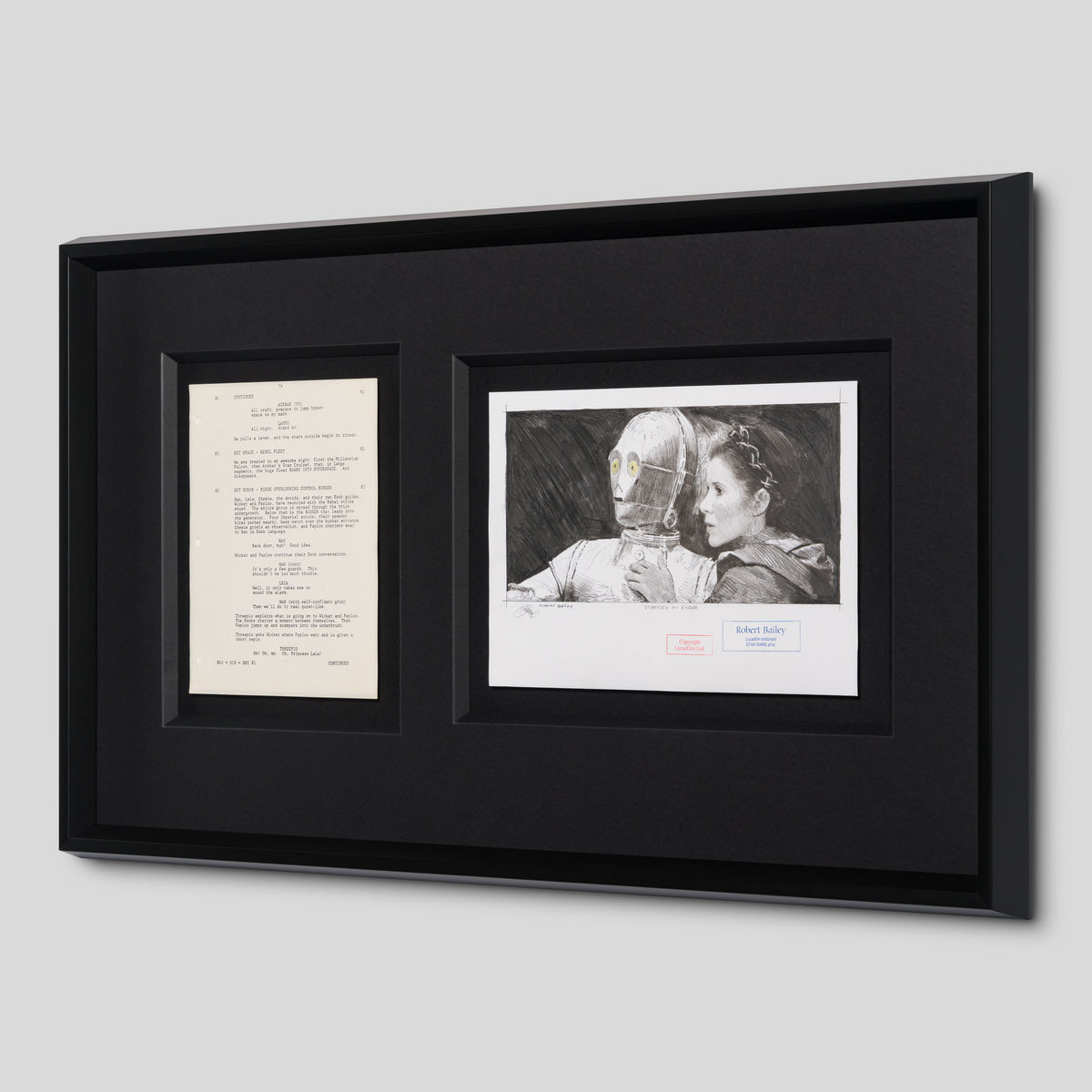 RBA ORI SKT 30778 Startled On Endor 2 