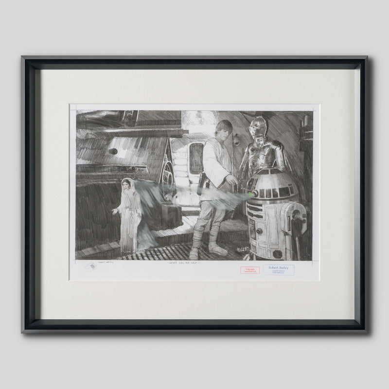 RBA ORI SKT 31449 Leia s Cry For Help 1 