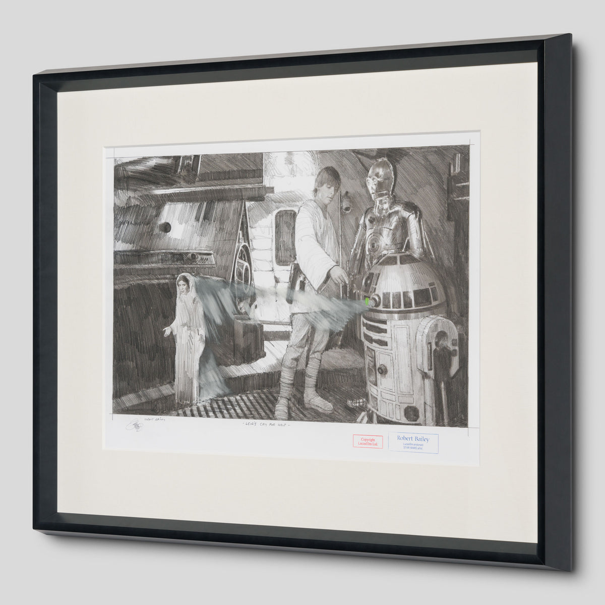 RBA ORI SKT 31449 Leia s Cry For Help 2 