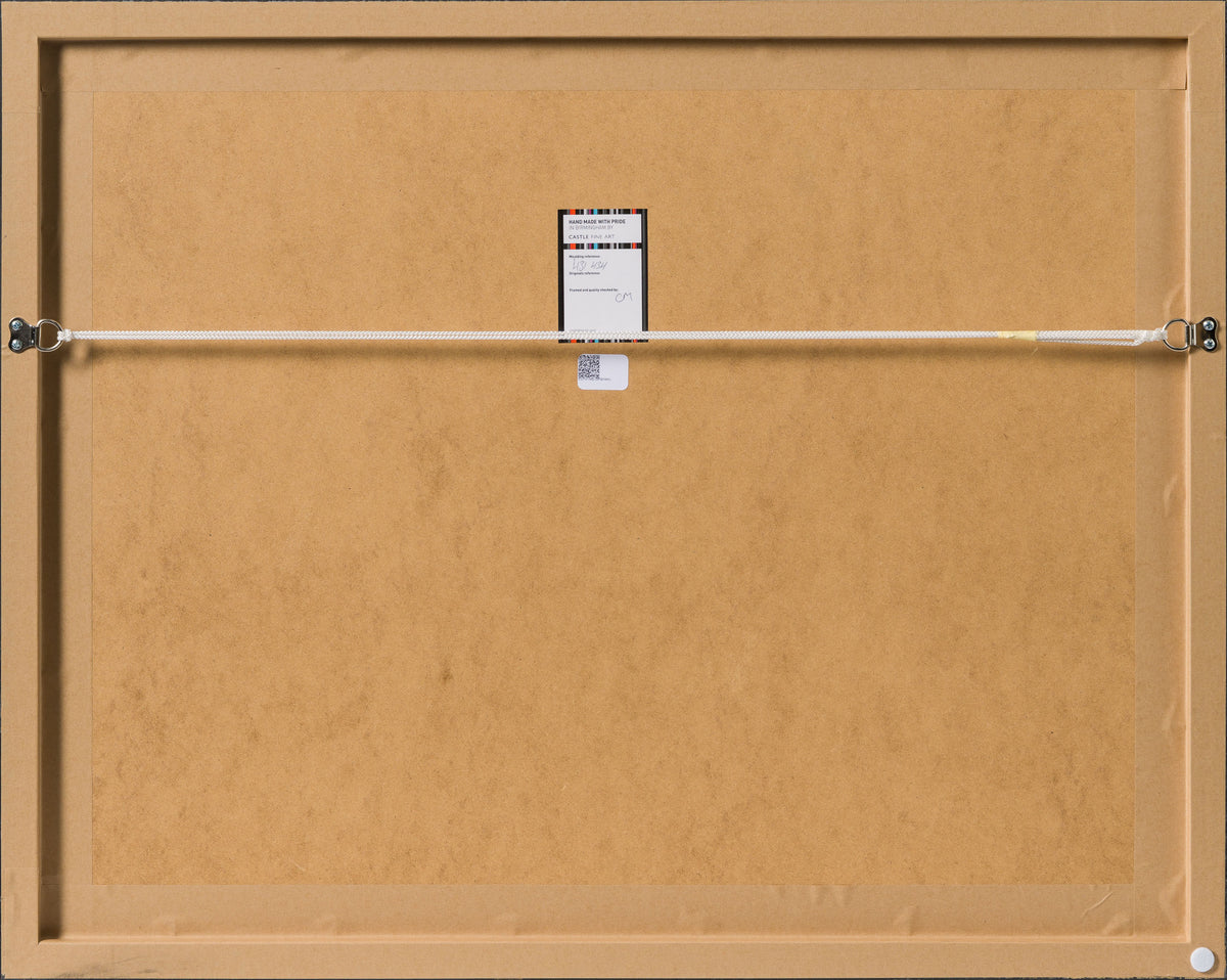 RBA ORI SKT 31449 Leia s Cry For Help 7 