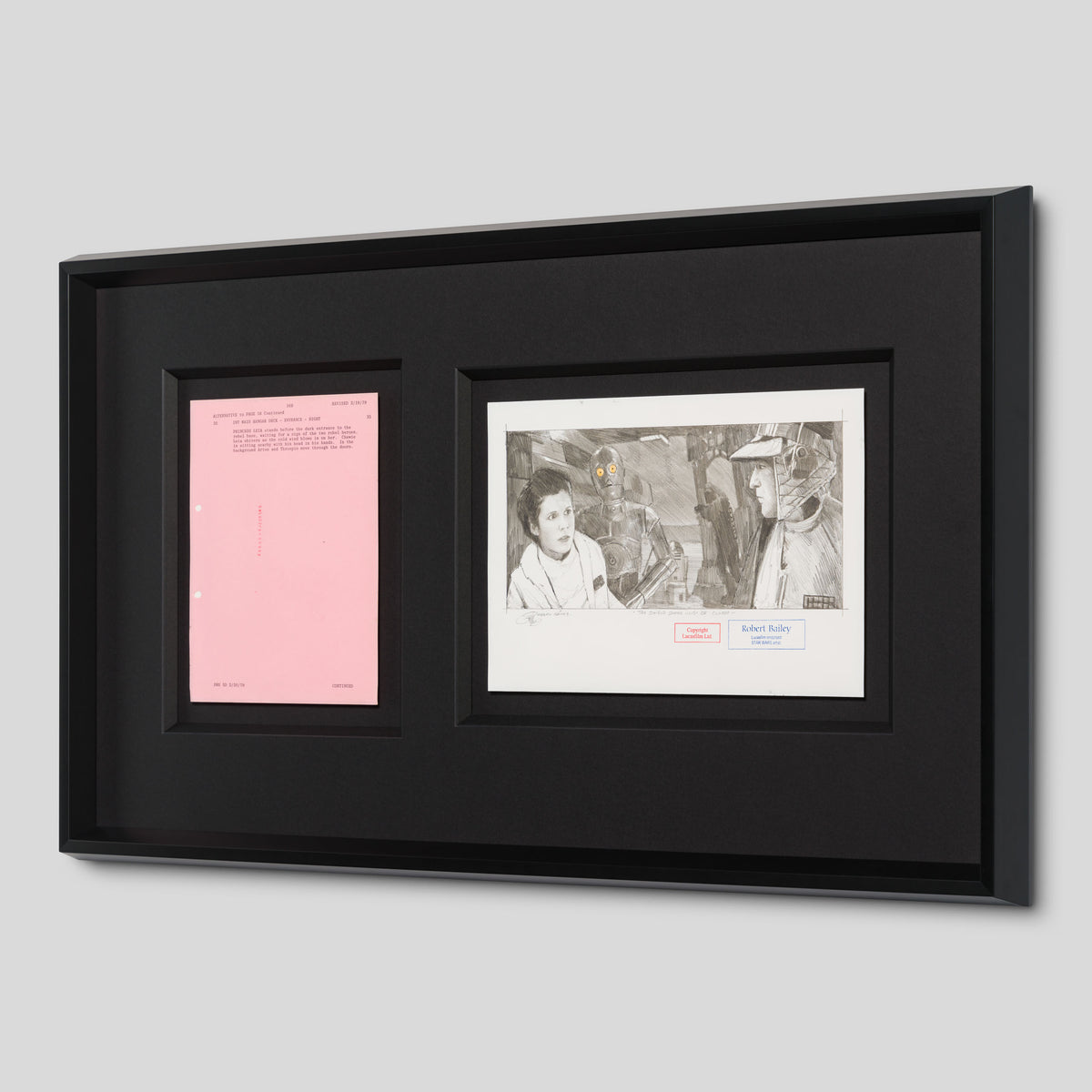 RBA ORI SKT 32345 The Shield Doors Must Be Closed 2 