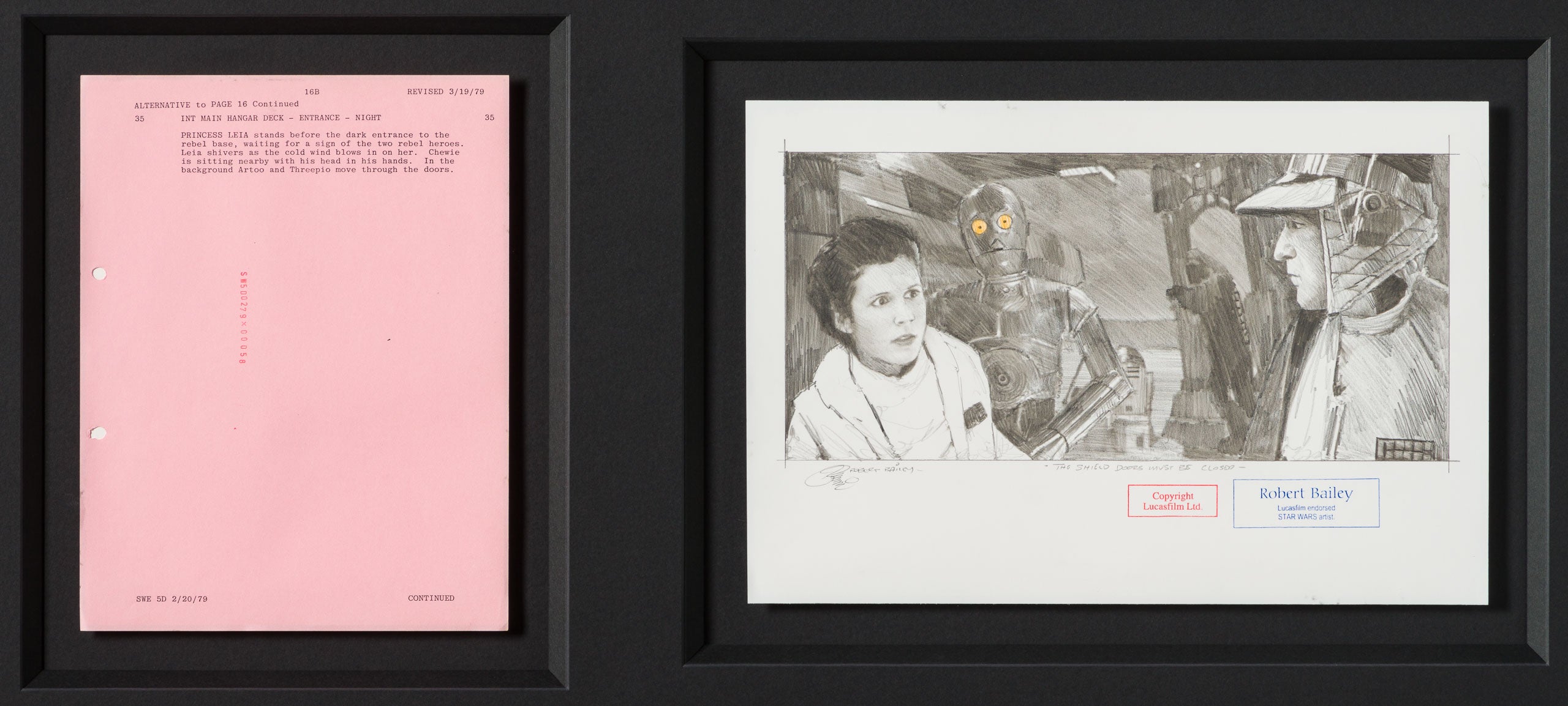 RBA ORI SKT 32345 The Shield Doors Must Be Closed 31 