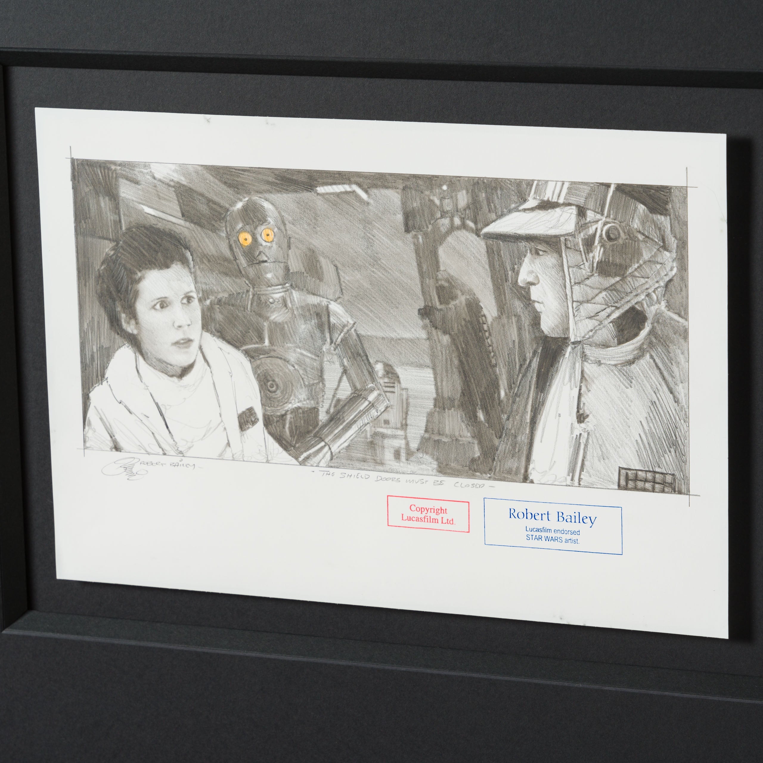 RBA ORI SKT 32345 The Shield Doors Must Be Closed 6 