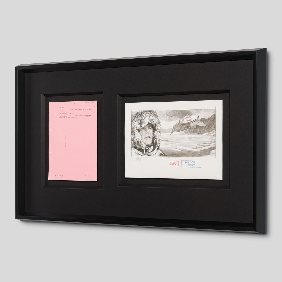 RBA ORI SKT 32348 Rogue Two Rescue 2 