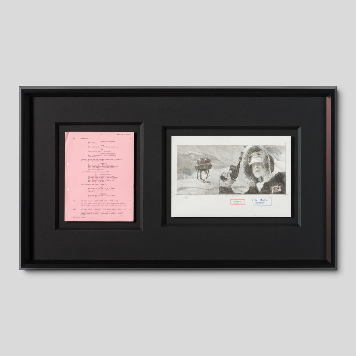 RBA ORI SKT 32352 Stalking The Probe 1 