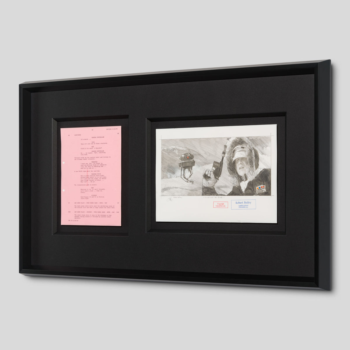 RBA ORI SKT 32352 Stalking The Probe 2 