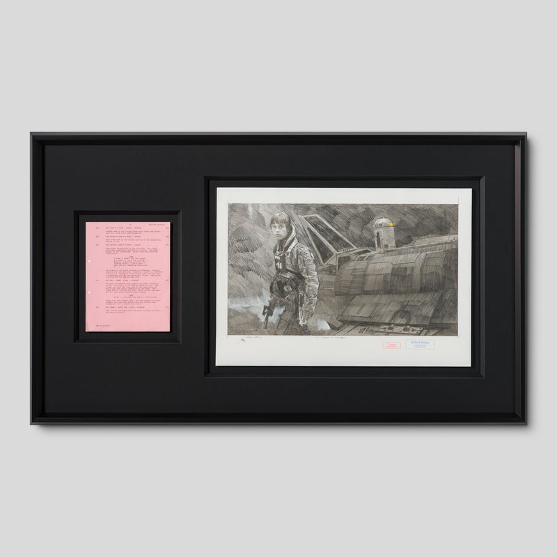 RBA ORI SKT 32501 On Guard On Dagobah 1 