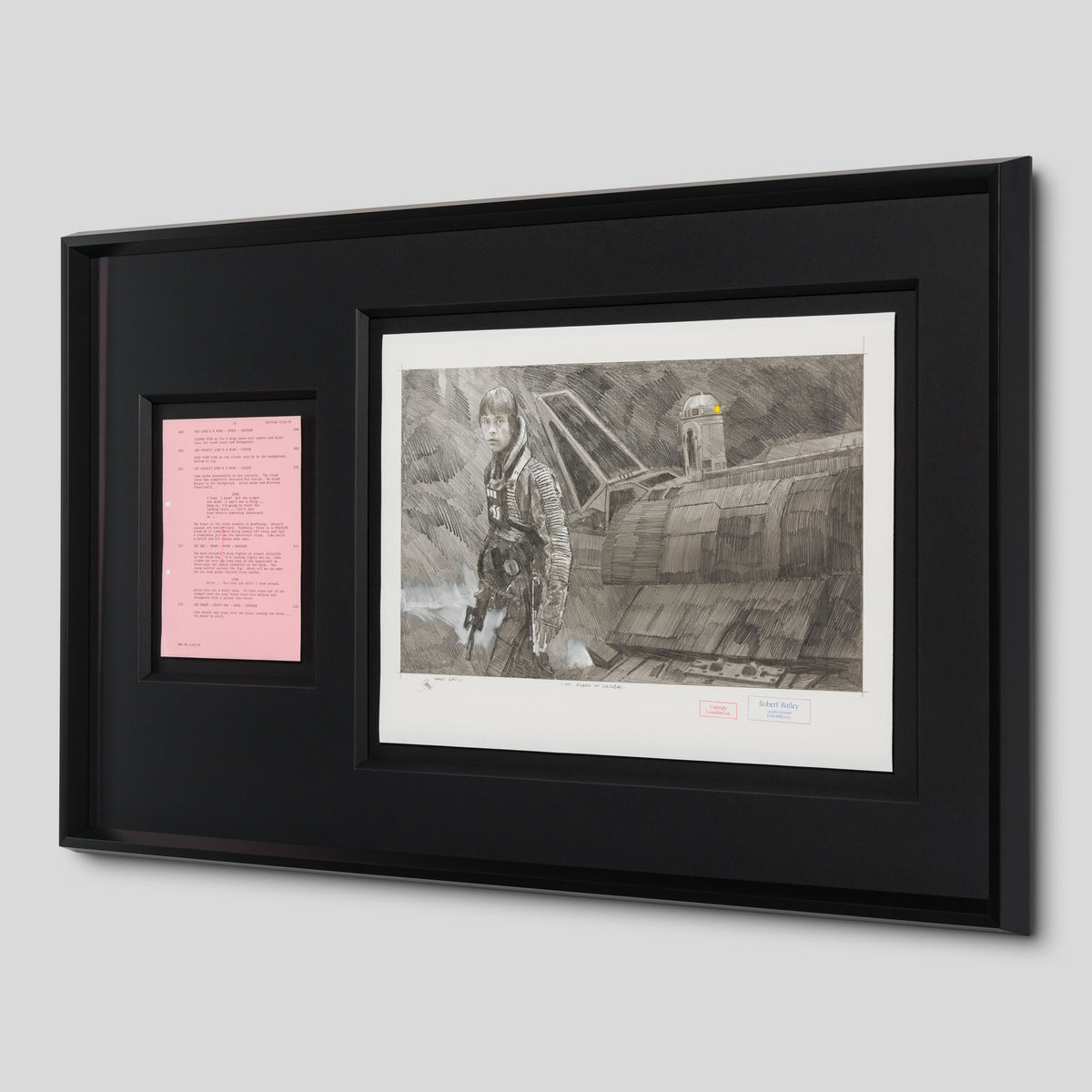 RBA ORI SKT 32501 On Guard On Dagobah 2 