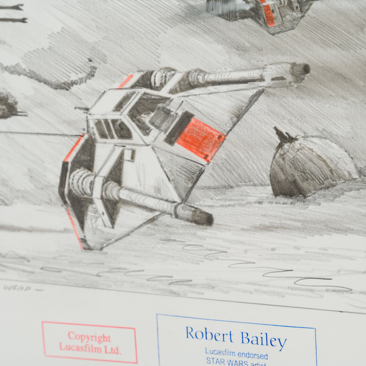 RBA ORI SKT 32528 It s A Wrap 6 