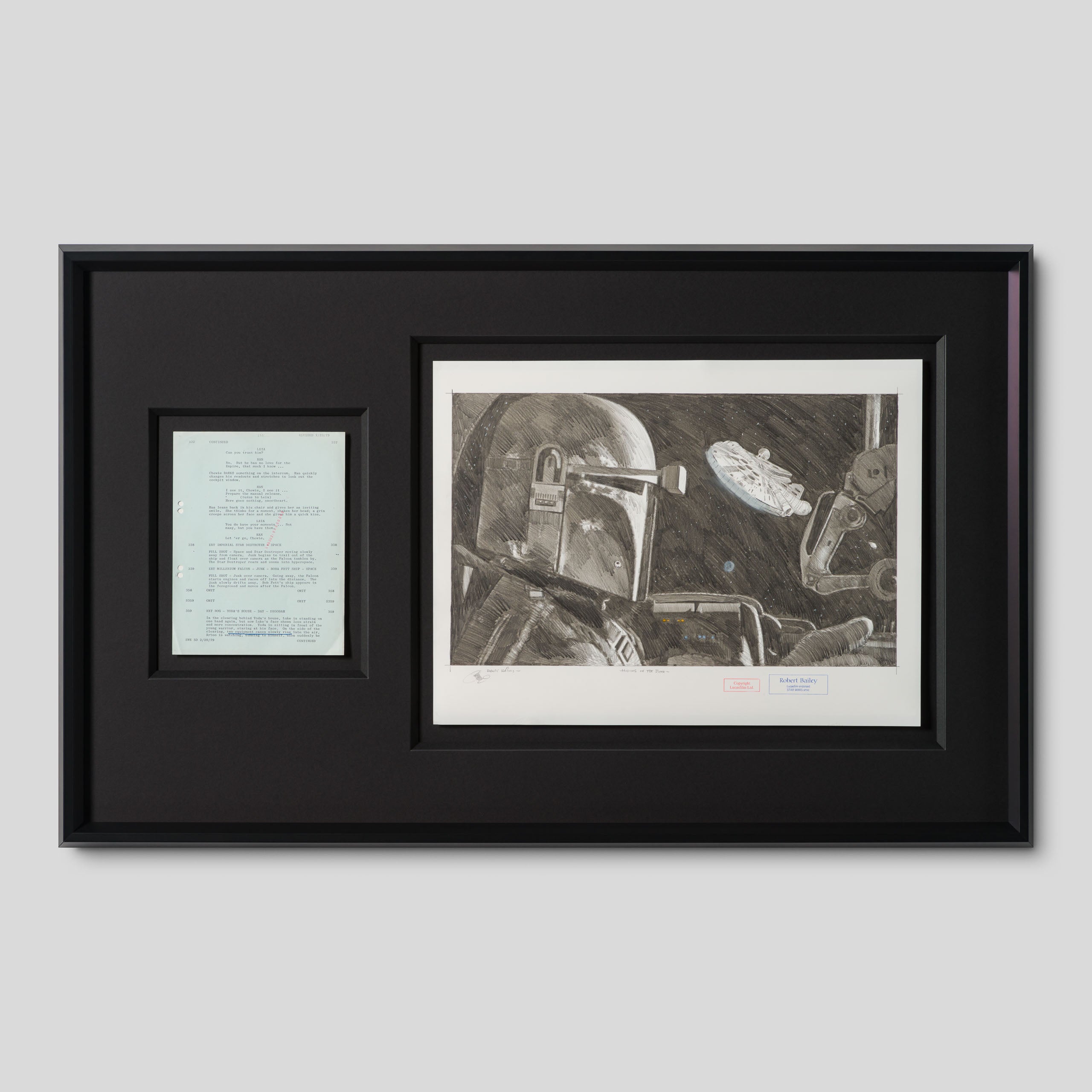 RBA ORI SKT 32950 Hiding In The Junk 1 