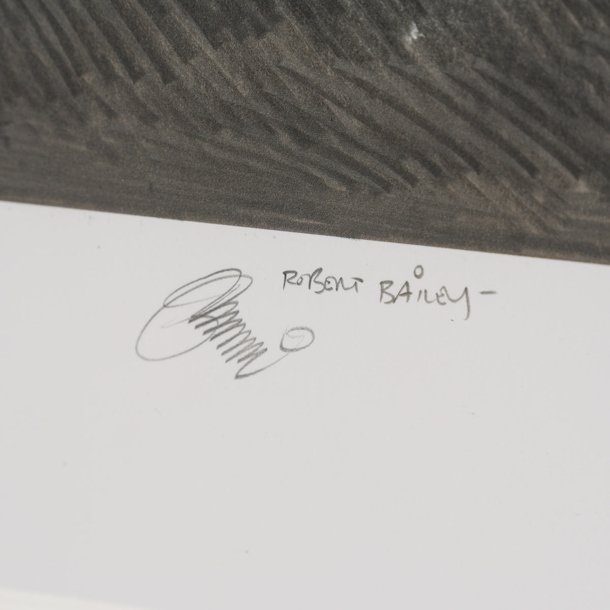 Product image 1 for robert-bailey-immediate-recall