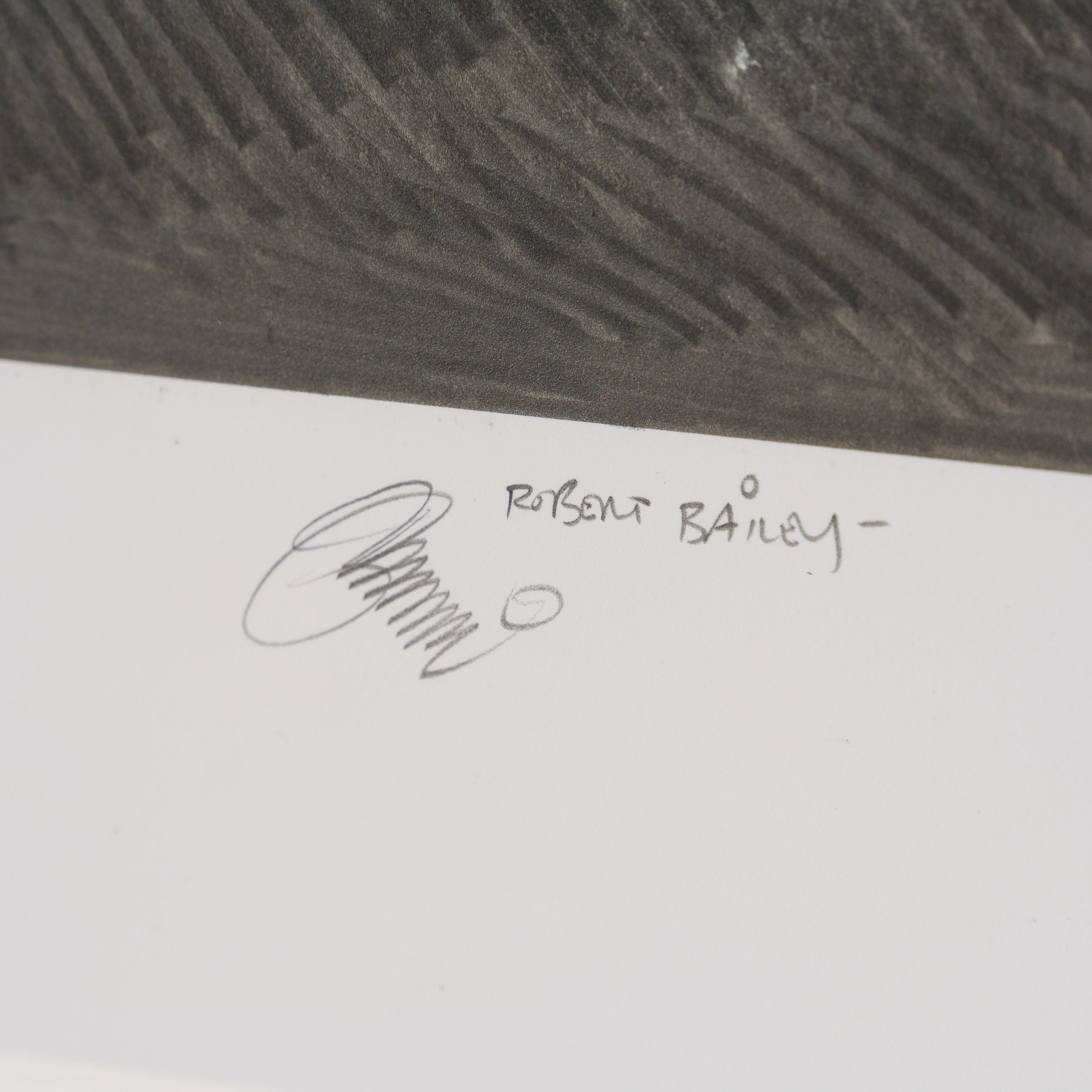 Product image 1 for robert-bailey-immediate-recall