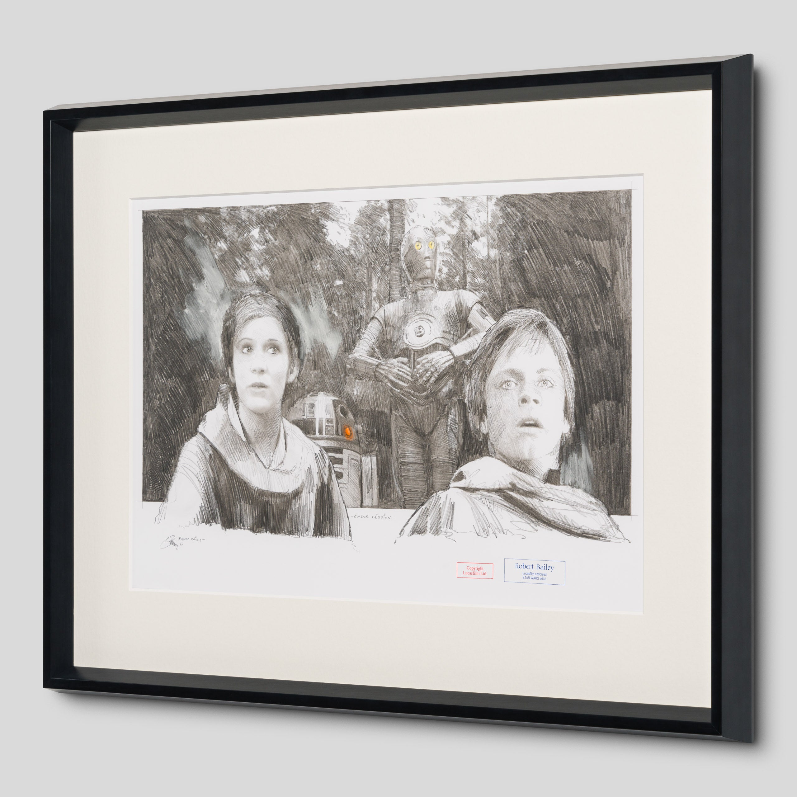 RBA ORI SKT 34198 Endor Mission 2 