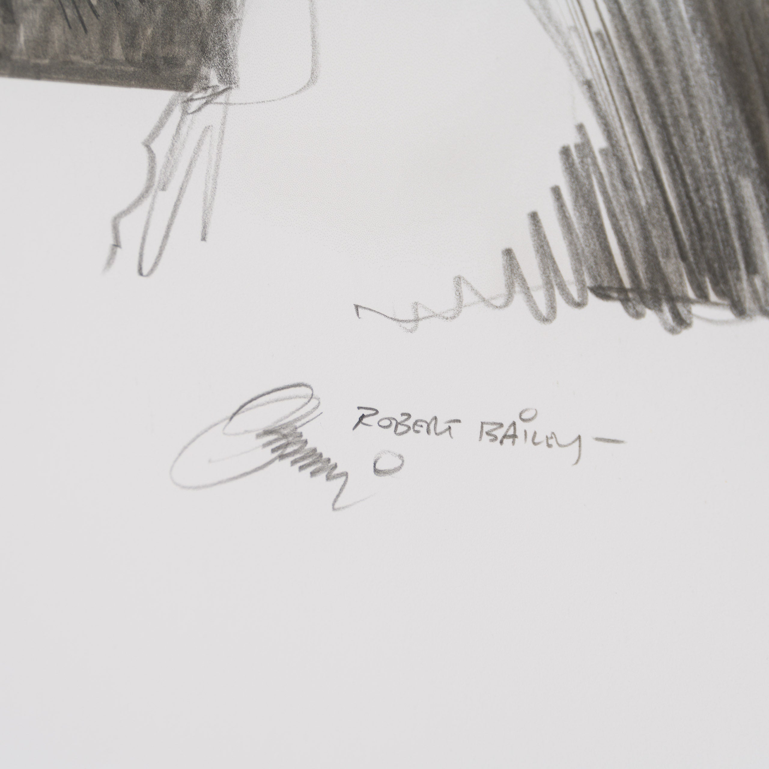 Product image 1 for robert-bailey-endor-mission