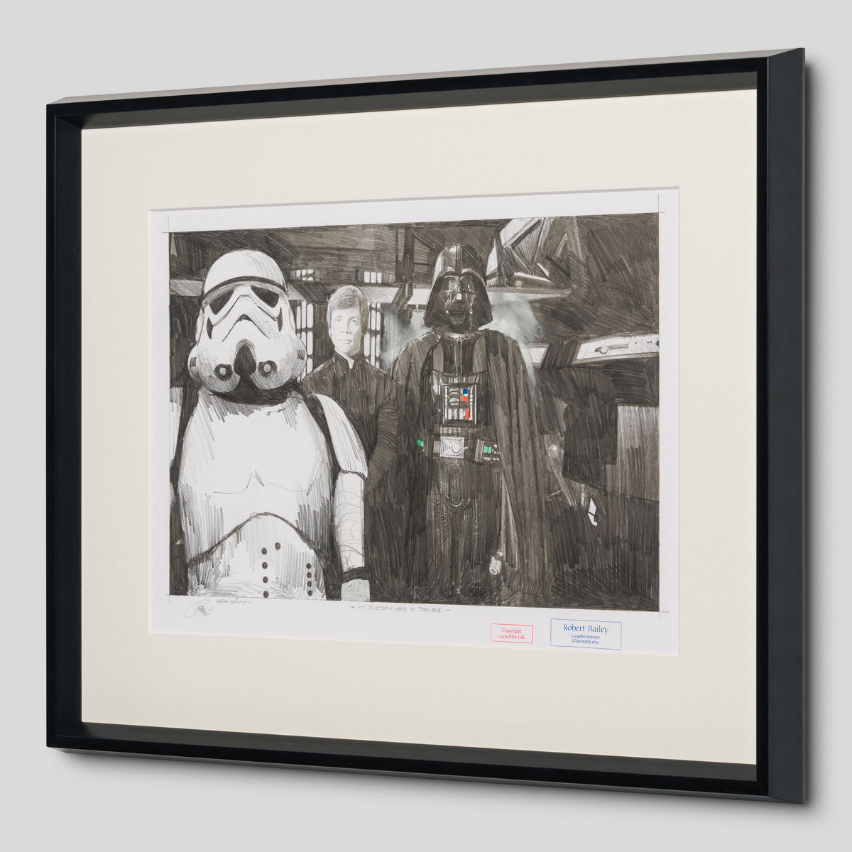 RBA ORI SKT 34215 In Custody And In Trouble 2 