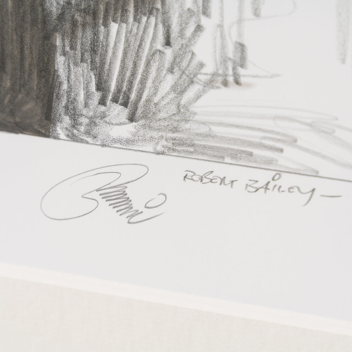 Product image 1 for robert-bailey-in-custody-and-in-trouble