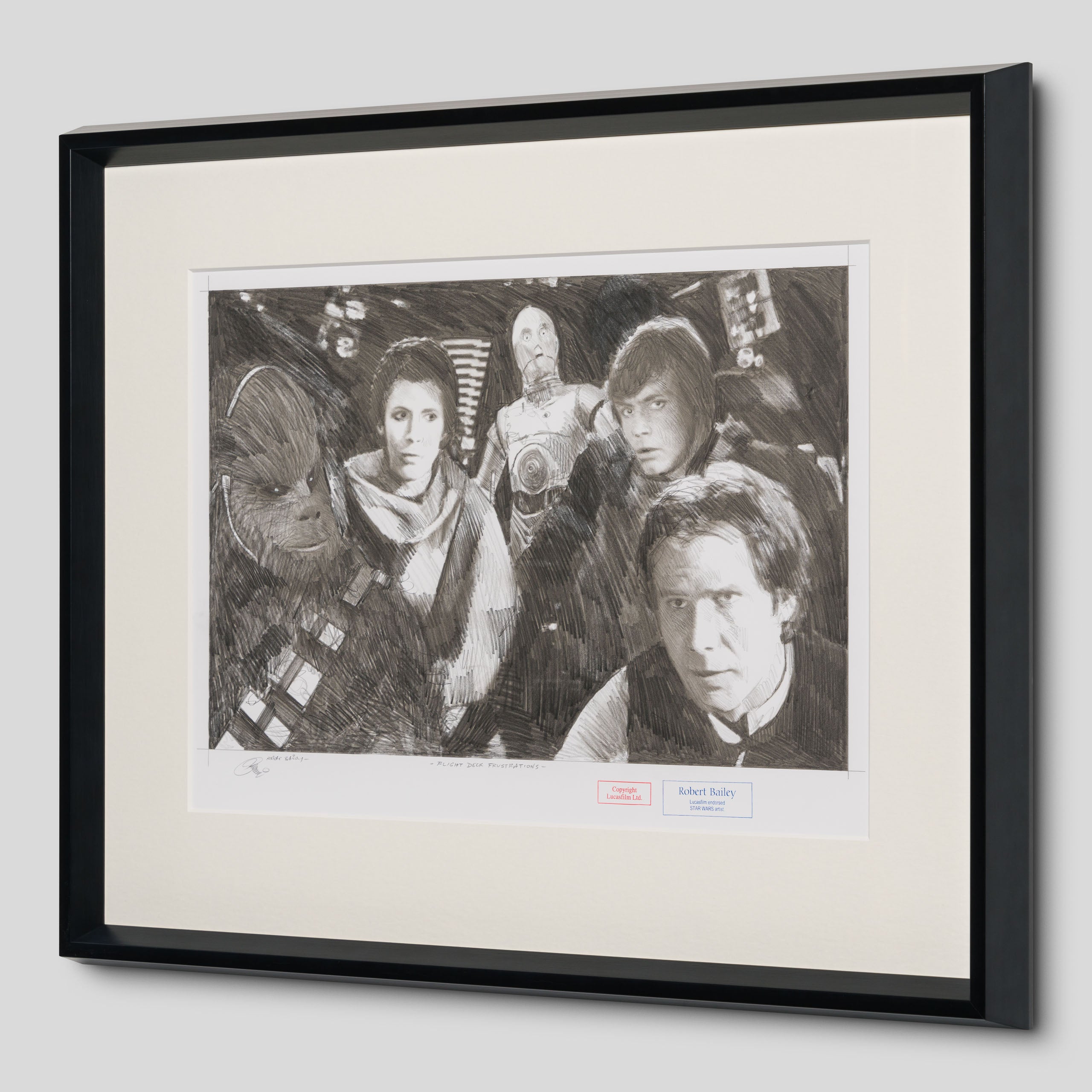 RBA ORI SKT 34219 Flight Deck Frustrations 2 