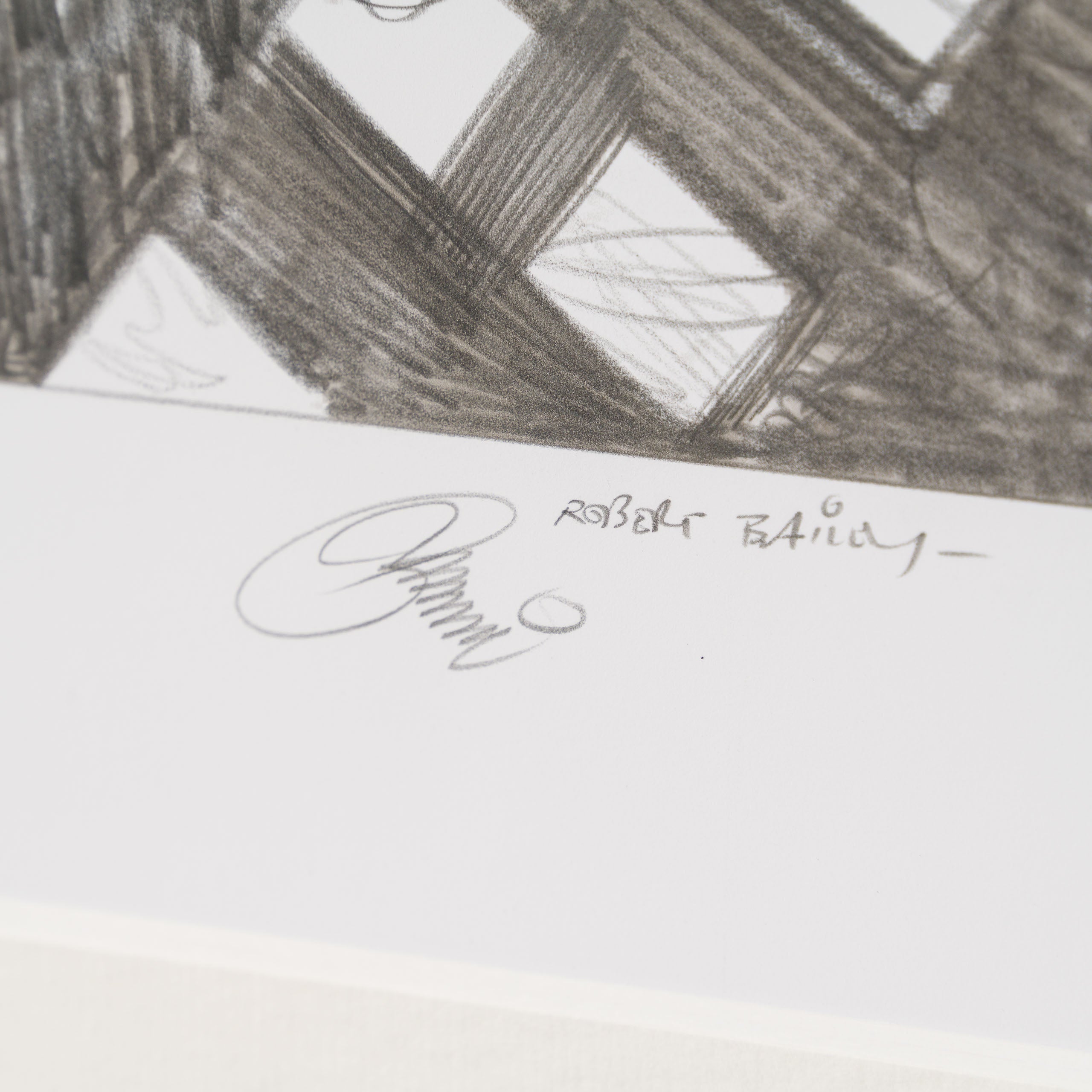 Product image 1 for robert-bailey-flight-deck-frustrations