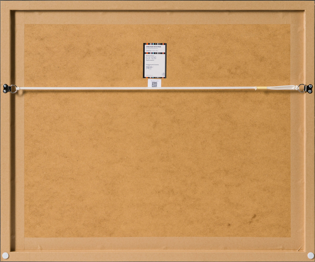 Product image 1 for robert-bailey-mando-on-a-mission