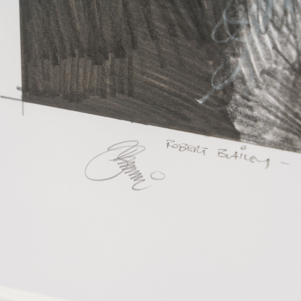 Product image 2 for robert-bailey-warriors-wookie