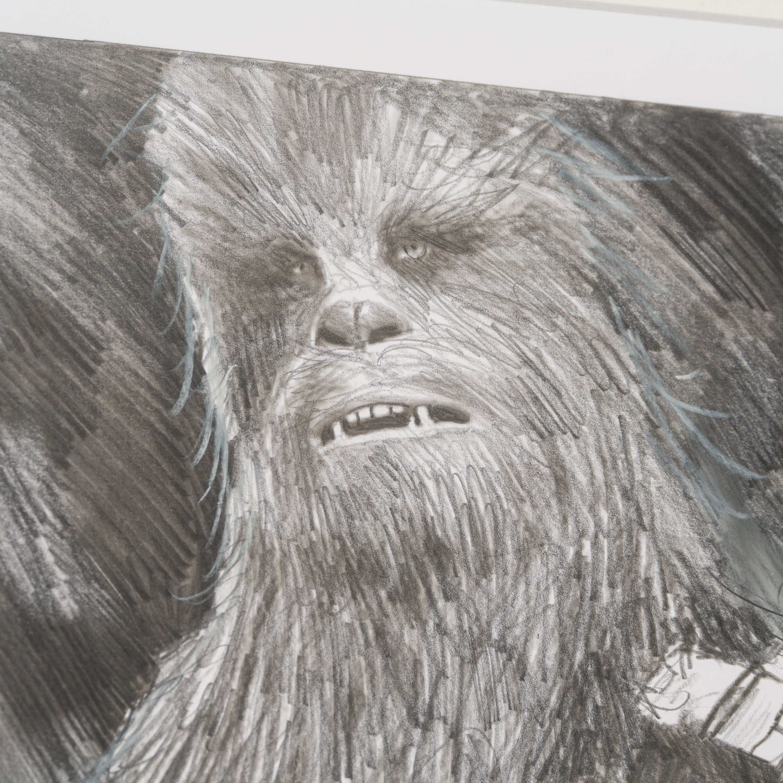 RBA ORI SKT 34232 Warrior s Wookie 4 