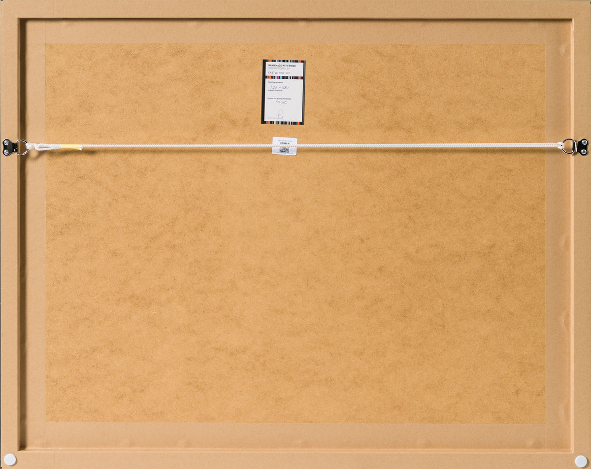 Product image 1 for robert-bailey-warriors-wookie