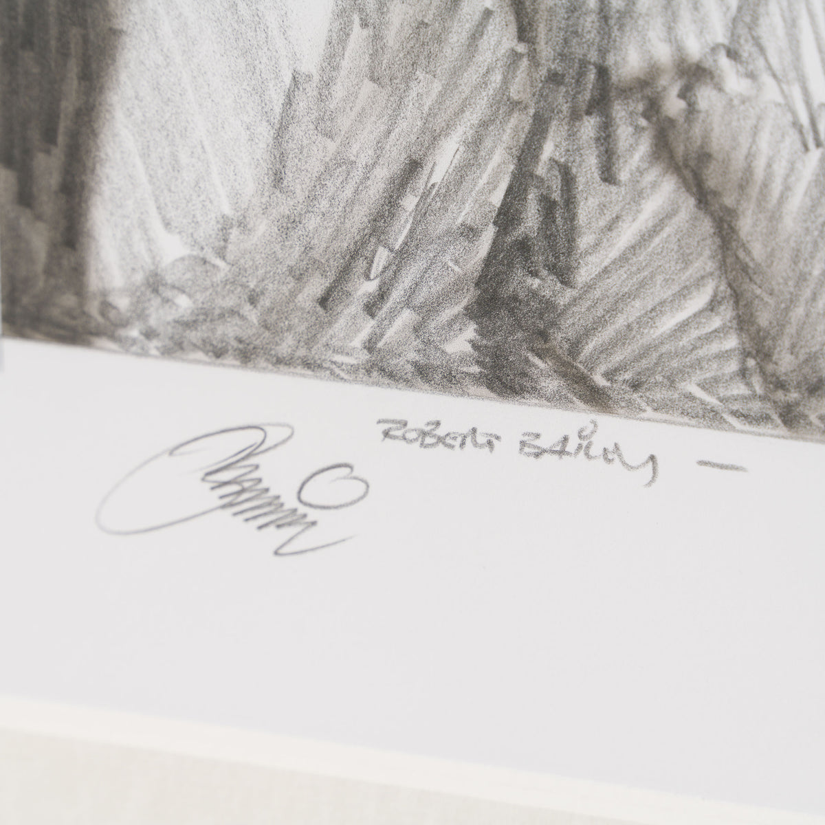 Product image 1 for robert-bailey-desperate-fugitives