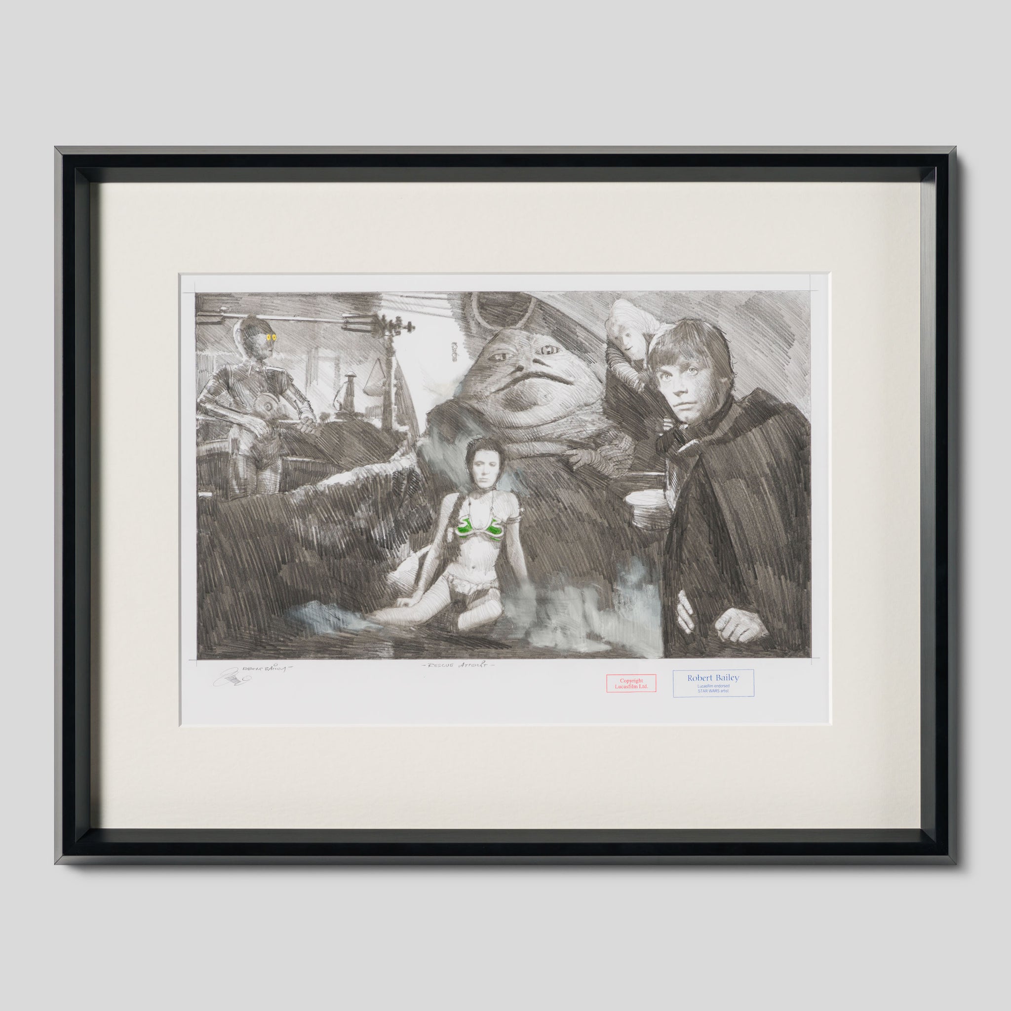 Rescue Attempt Robert Bailey