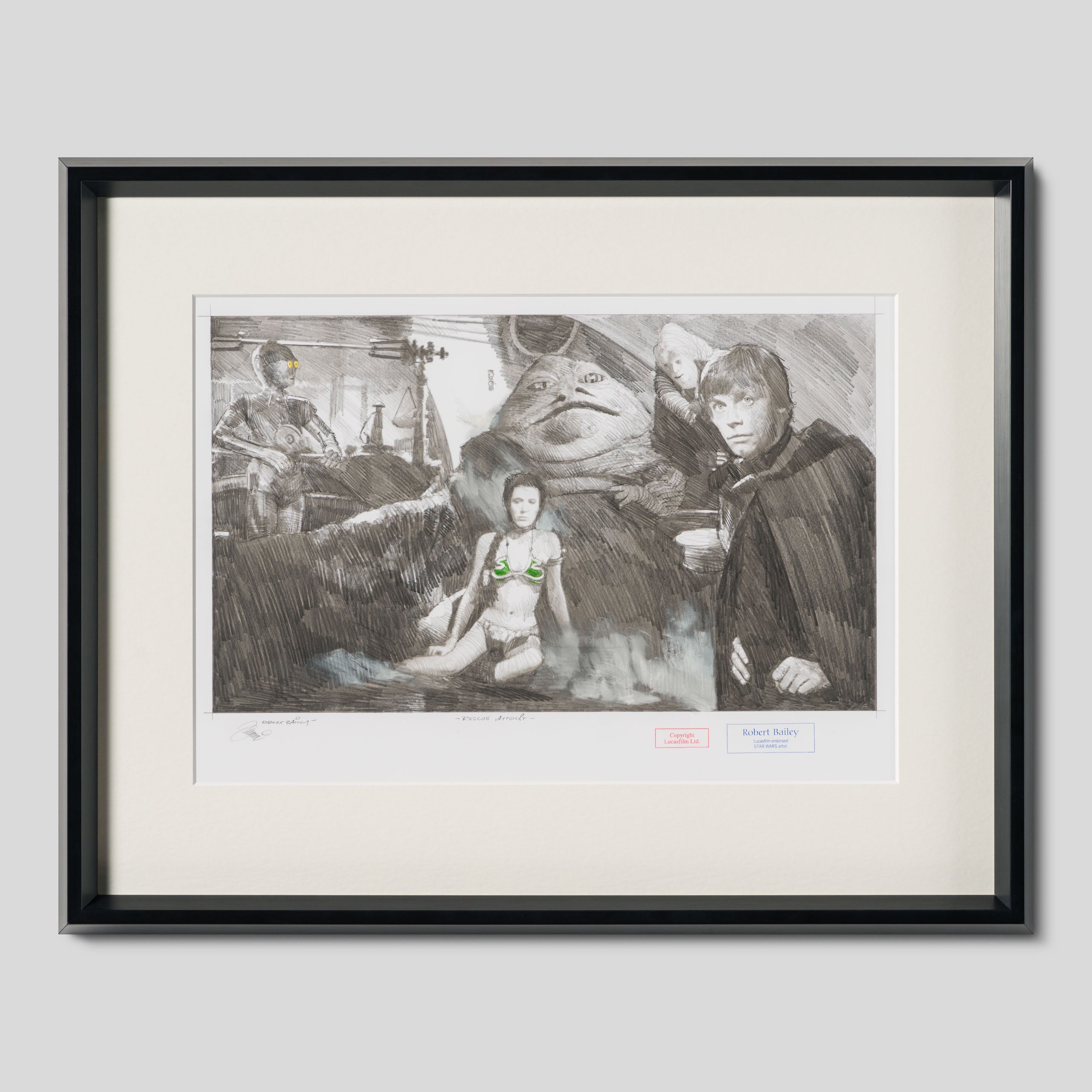 RBA ORI SKT 34282 Rescue Attempt 1 