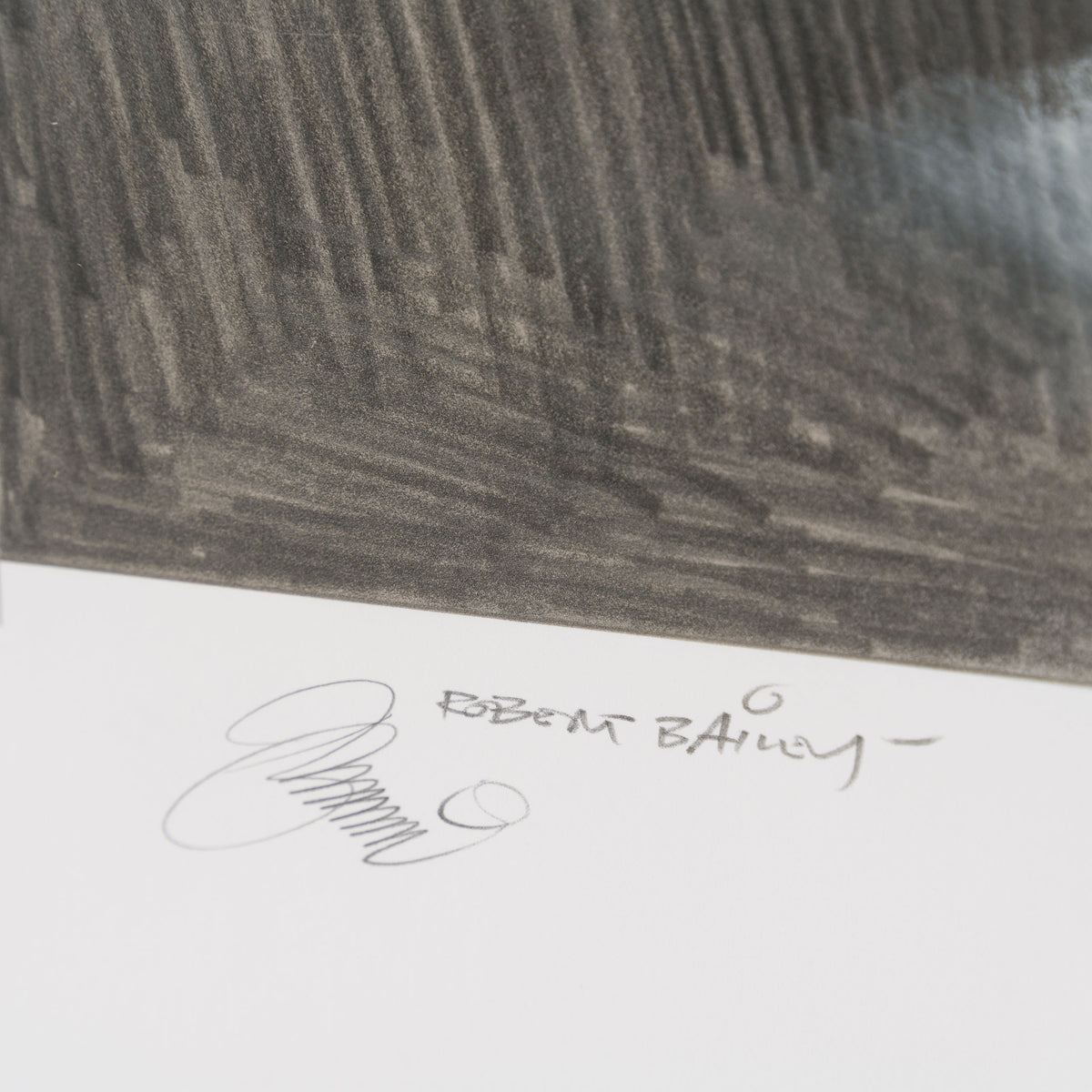 Product image 1 for robert-bailey-rescue-attempt