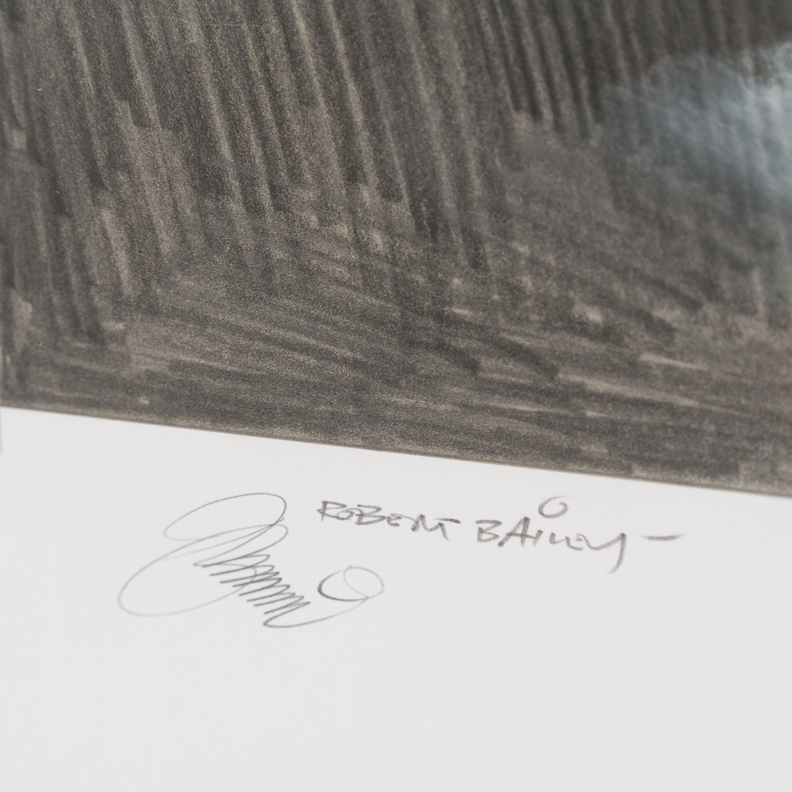 Product image 1 for robert-bailey-rescue-attempt