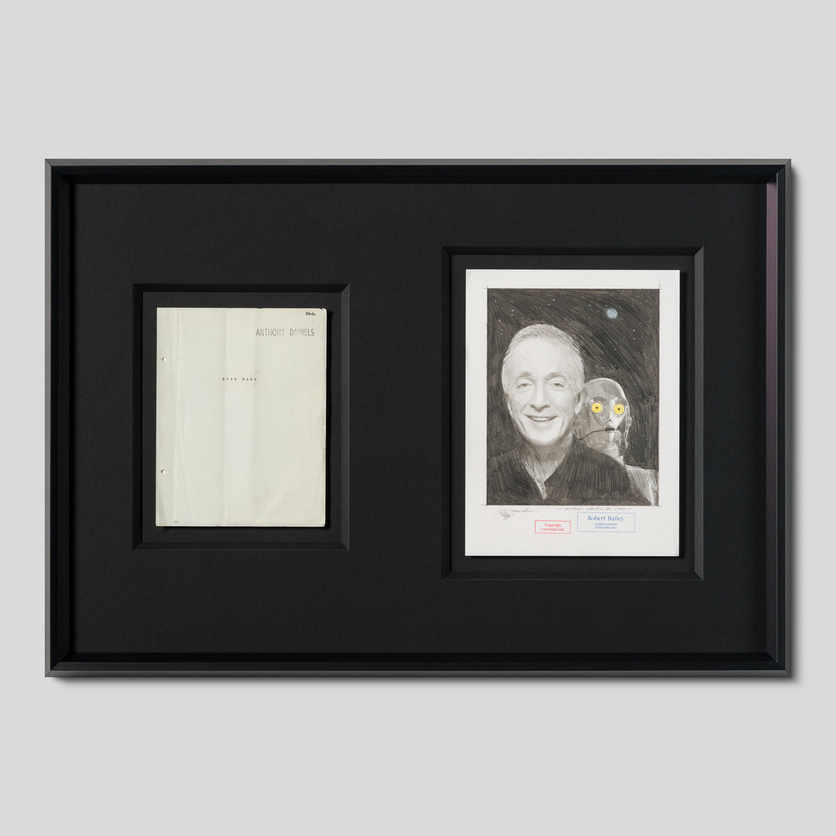 RBA ORI SKT 34748 Anthony Daniels As CP30 1 