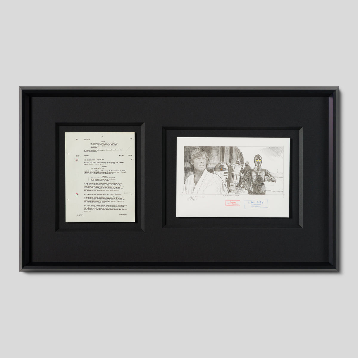 RBA ORI SKT 34756 Shopping Spree 1 