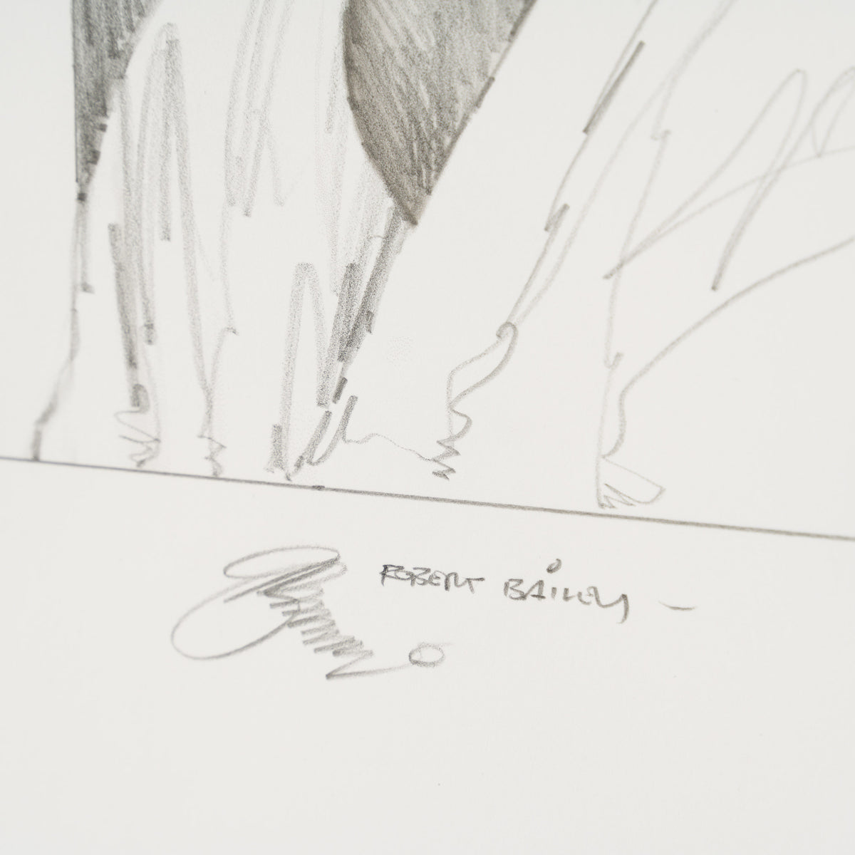 Product image 1 for robert-bailey-shopping-spree