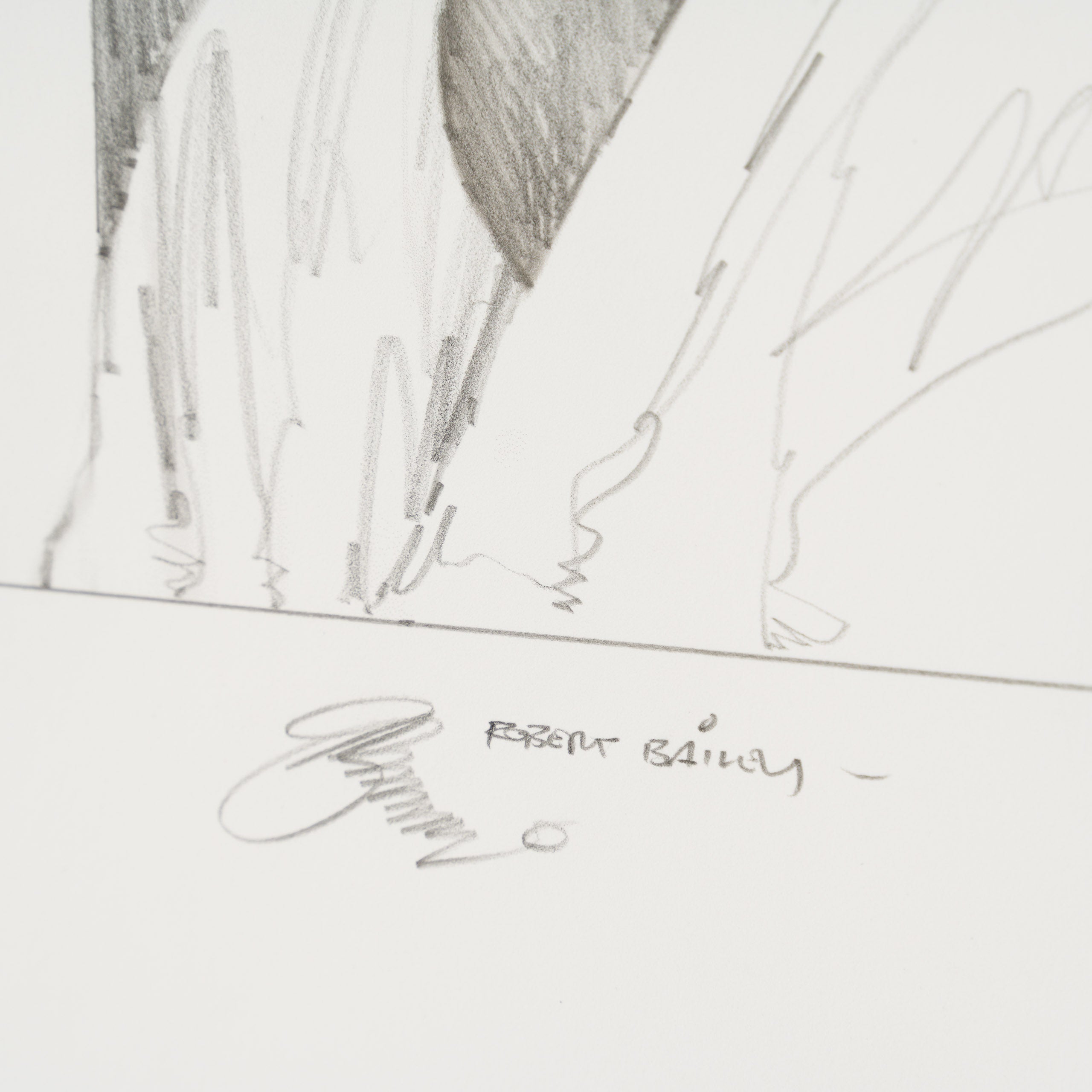 Product image 1 for robert-bailey-shopping-spree