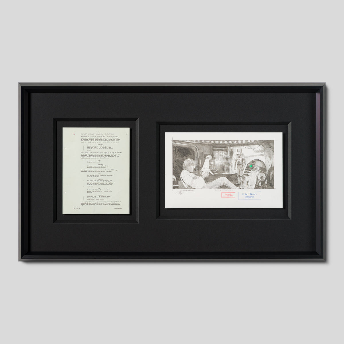 RBA ORI SKT 34764 Luke Disgruntled 1 