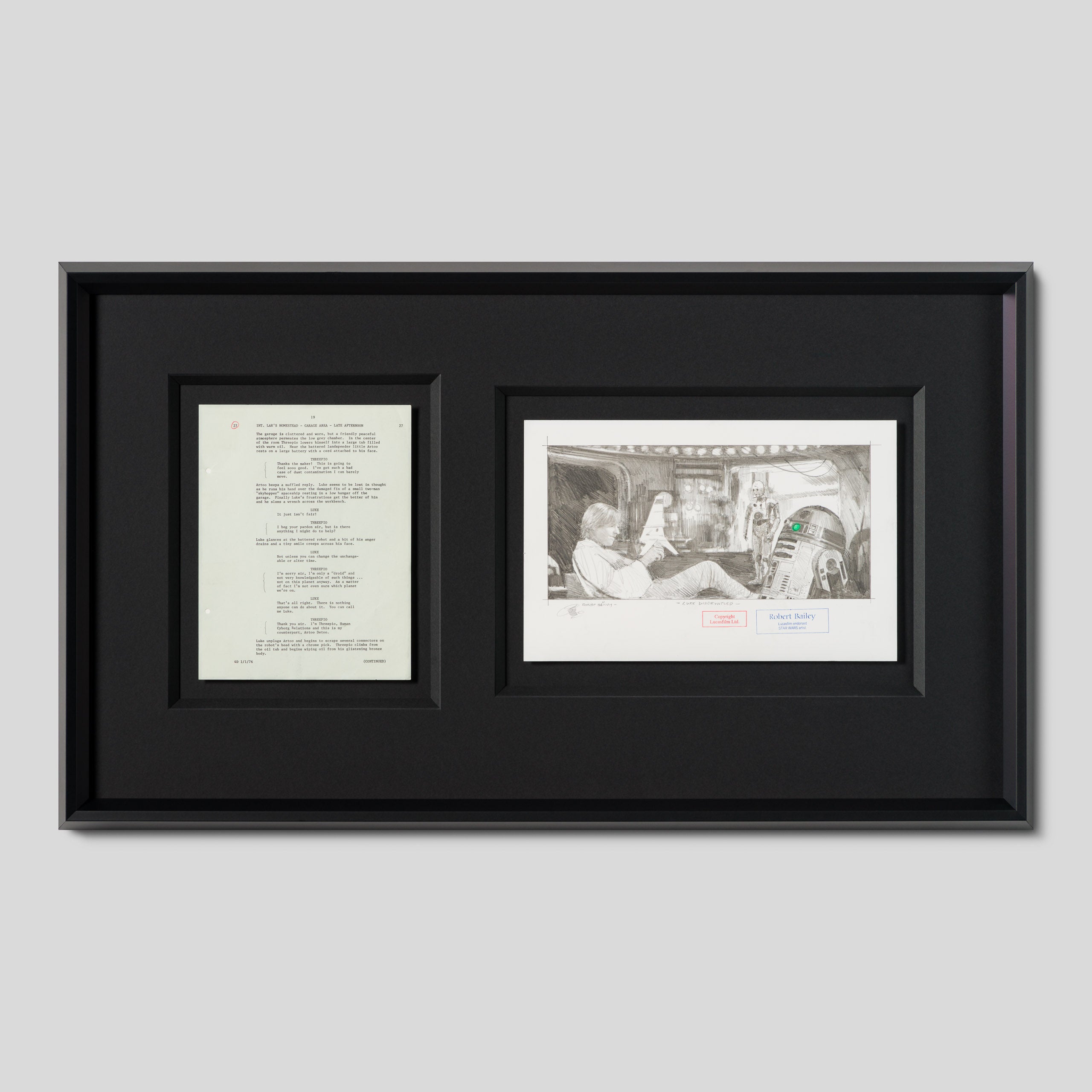 RBA ORI SKT 34764 Luke Disgruntled 1 