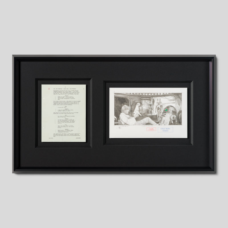 RBA ORI SKT 34764 Luke Disgruntled 1 