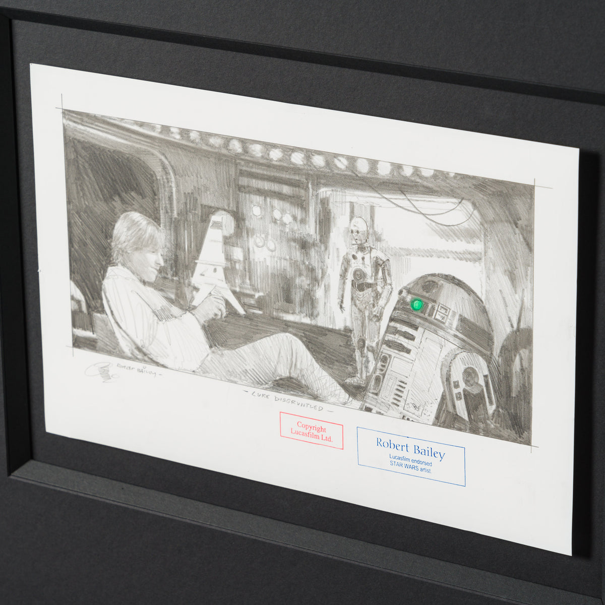 Product image 3 for robert-bailey-luke-disgruntled